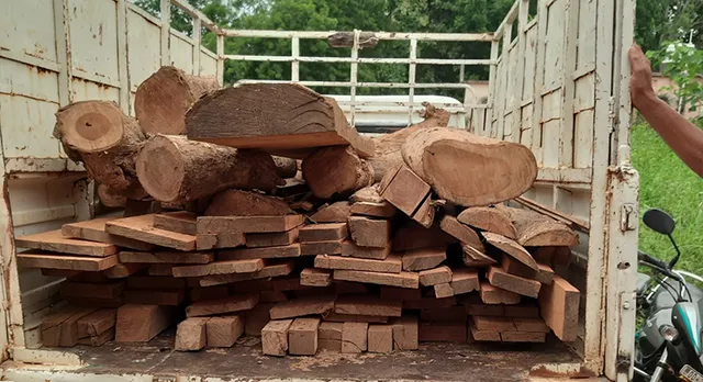 ଲକ୍ଷାଧିକ ଟଙ୍କାର କାଠ ଜବତ