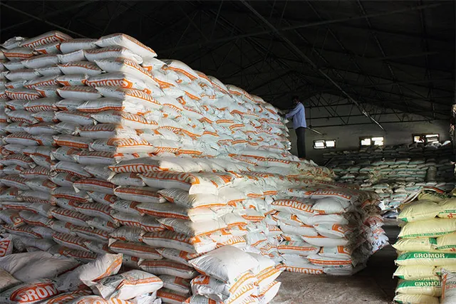 ପ୍ୟାକ୍ସ ସାର ଉଠାଇଲେନି; ଚାଷୀଙ୍କୁ ଲୁଟୁଛନ୍ତି ଡିଲର୍‌, ବେପାରୀ