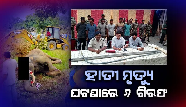 ହାତୀ ମୃତ୍ୟୁ ଘଟଣା: ବନ୍ଧା ହେଲେ ଚାଷୀଙ୍କ ସହ ପାଞ୍ଚ ସହଯୋଗୀ