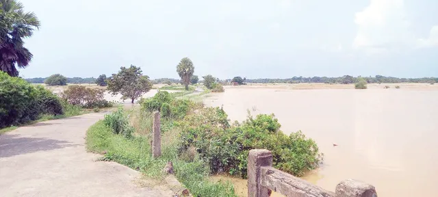 କୋଳଥିଆ-ବାଲିକିରା ବିଜୁ ସେତୁ ‌କେବେ?