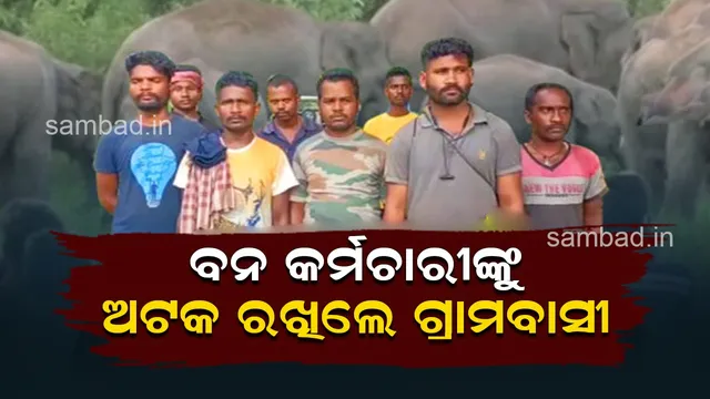 ହାତୀ ଫସଲ ନଷ୍ଟ କରିବାରୁ ୮ ଜଣ ବନ କର୍ମଚାରୀଙ୍କୁ ବାନ୍ଧିଲେ ଗ୍ରାମବାସୀ