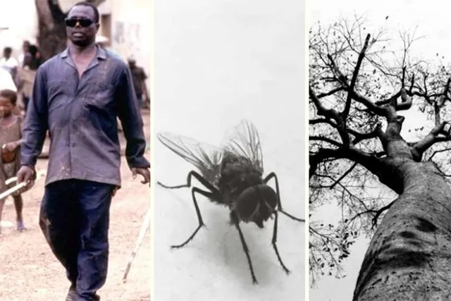 ଖୋଲା ଝରକା - ଅନ୍ଧ ଗାଁ