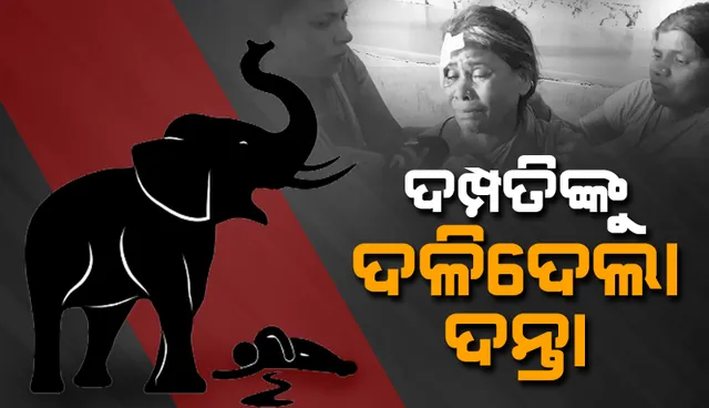 ଦମ୍ପତିଙ୍କୁ ଦଳିଦେଲା ଦନ୍ତା: ସ୍ବାମୀ ମୃତ, ସ୍ତ୍ରୀ ଗୁରୁତର
