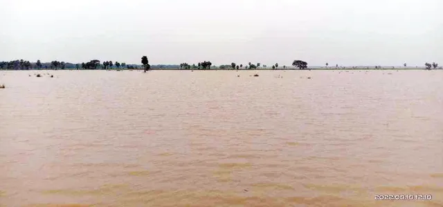 ଯୋକଇ କ୍ରିକ୍ ବିପର୍ଯ୍ୟସ୍ତ, ଉଜୁଡ଼ି ଯାଉଛି ୪୦୦ ଏକର ଜମିର ଫସଲ