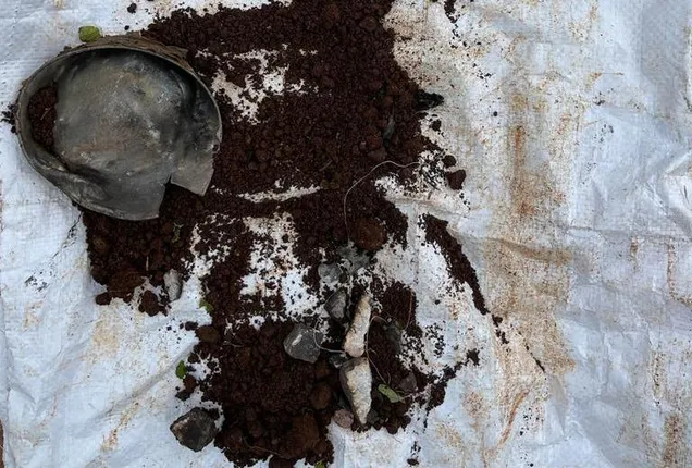 ମୃତ୍ୟୁ ଯନ୍ତା ବିଛାଇଥିଲେ ମାଓବାଦୀ; ବିସ୍ଫୋରକ ସାମଗ୍ରୀ ଠାବ କରି ନିଷ୍କ୍ରିୟ କଲା ବିଏସଏଫ୍‌