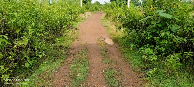 ମନରେଗା ଯୋଜନାରେ କାର୍ଯ୍ୟ ଆରମ୍ଭ ନକରି ଲକ୍ଷାଧିକ ଟଙ୍କାର ଉଠିଛି ବିଲ