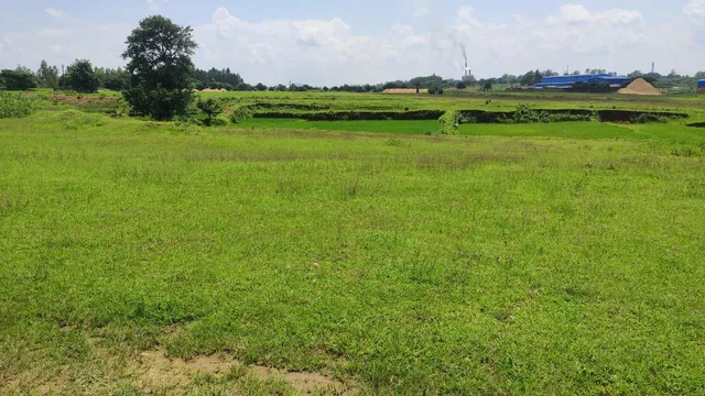 ଜୟପୁର ବ୍ଲକରେ ମନରେଗା ବାଟବଣା, ଟଙ୍କା ଖର୍ଚ୍ଚ ସତ୍ତ୍ବେ ପ୍ରକଳ୍ପର ନାହିଁ ଚିହ୍ନବର୍ଣ୍ଣ