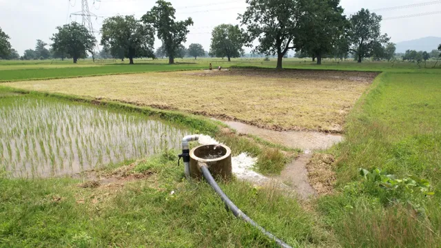 ଖୋର୍ଦ୍ଧା ଜିଲ୍ଲାର ୬ ବ୍ଲକରେ ଜଳସେଚିତ ଚାଷ ଜମି ୩୦ ପ୍ରତିଶତରୁ କମ