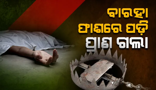 ବିଦ୍ୟୁତ୍ ଚାର୍ଜିତ ବାରହା ଫାଶ ସଂସ୍ପର୍ଶରେ ଆସି ନାବାଳକର ମୃତ୍ୟୁ, ଆଉ ଜଣେ ଗୁରୁତର