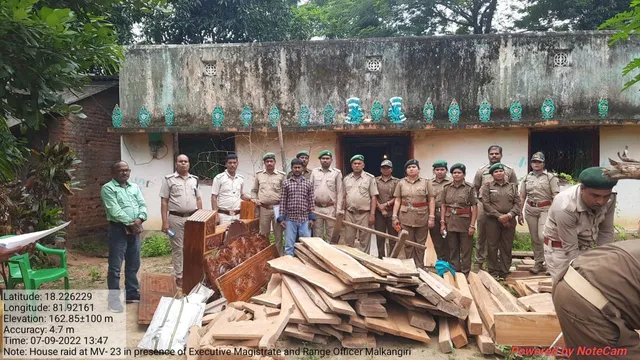 ବିଭିନ୍ନ ସ୍ଥାନରେ ବନ ବିଭାଗର ଚଢଉ: ବିପୁଳ ପରିମାଣର କାଠ ଜବତ