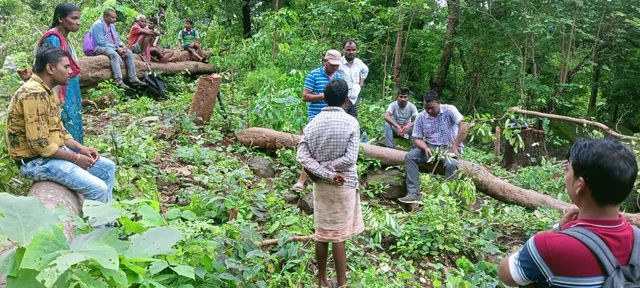 ଶୋଇଛି ବନ ବିଭାଗ: ଓଡ଼ିଶାରେ ପଶି ଶତାଧିକ ଗଛ କାଟିଦେଲେ ଛତିଶଗଡ଼ ଲୋକେ