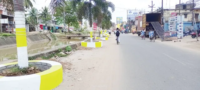 ପାମ୍‌ ଗଛର ସୌନ୍ଦର୍ଯ୍ୟୀକରଣ ନେଇ ପ୍ରଶ୍ନବାଚୀ: ପୁରୁଣା ଉଜୁଡ଼ିଲାଣି, ନୂଆ ରହିବ ତ?