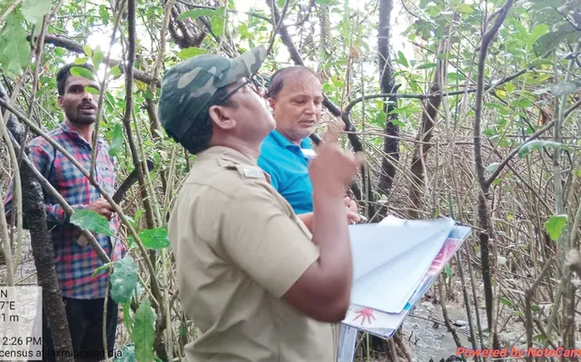 ଭିତରକନିକାରେ ଦେଶୀୟ ପକ୍ଷୀ ଗଣନା ଆରମ୍ଭ, ସାମିଲ୍‌ ହେଲେ ୩ ଟିମ୍‌