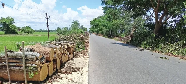 ରାସ୍ତା ସଂପ୍ରସାରଣରେ ହଜିଯିବ ୬୦ ବର୍ଷର ସ୍ମୃତି