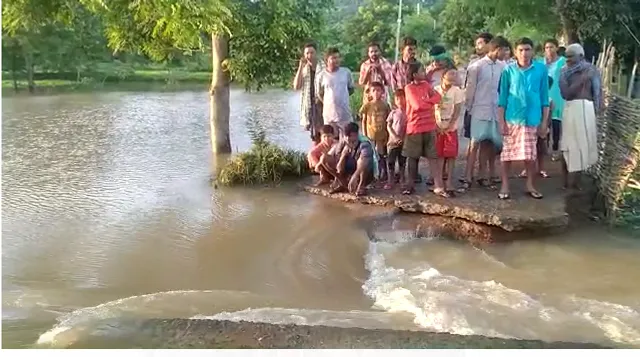 ଇନ୍ଦ୍ରାବତୀ ବାମ ମୁଖ୍ୟ କେନାଲରେ ଘାଇ: ଶହ ଶହ ଏକର ଚାଷ ଜମି ଜଳମଗ୍ନ, ଘରେ ପଶିଲା ପାଣି