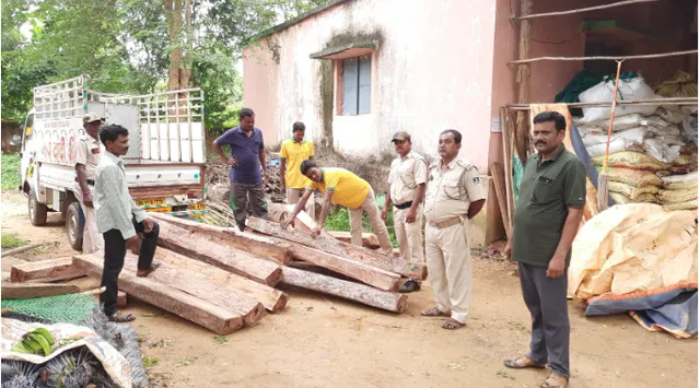 ବିନିକାରେ ୫୦ ହଜାର ଟଙ୍କାରୁ ଅଧିକ କାଠ ଜବତ: ଗାଡ଼ିଚାଳକ ଓ ସହଯୋଗୀ ଅଟକ