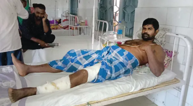 କୁମ୍ଭୀର ସହ ଲଢ଼ି ଜୀବନ ବଞ୍ଚାଇଲେ ବବି