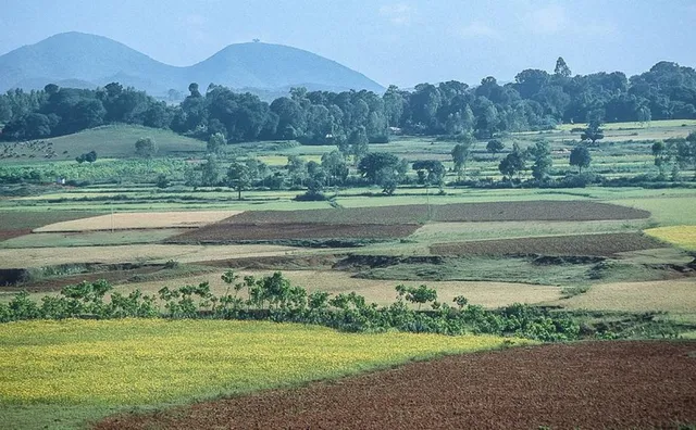 ଆନ୍ଧ୍ର ଦଲାଲଙ୍କ କବ୍‌ଜାରେ ଆଦିବାସୀଙ୍କ ଜମି