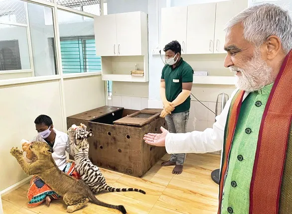 ନନ୍ଦନକାନନରେ କେନ୍ଦ୍ରମନ୍ତ୍ରୀ ଅଶ୍ୱିନୀ ଚୌବେ ବାଘ ଓ ସିଂହ ଛୁଆଙ୍କ ନାମକରଣ କଲେ