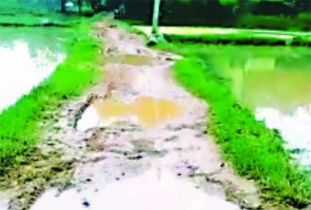 କନ୍ଦାଉଛି ଦଶିପୁରରୁ ବଳରାମଗଡ଼ି ୨.୫ କିମି ରାସ୍ତା