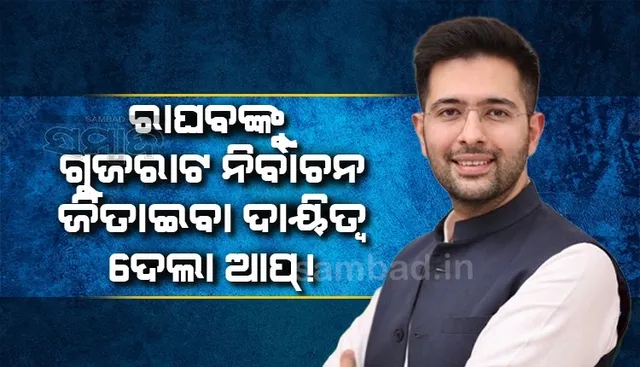 ଗୁଜରାଟ ବିଧାନସଭା ନିର୍ବାଚନ ପାଇଁ ରାଘବ ଚଢ଼ାଙ୍କୁ ସହ-ପ୍ରଭାରୀ କଲା ଆପ୍, ପଞ୍ଜାବ ହାତେଇବାରେ କରିଥିଲେ ସାହାଯ୍ୟ