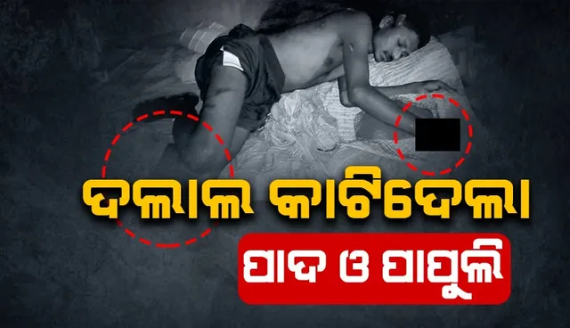 ଦାଦନ ଦୁଃଖ: ଦଲାଲ କାଟିଦେଲା ପାଦ ଓ ପାପୁଲି