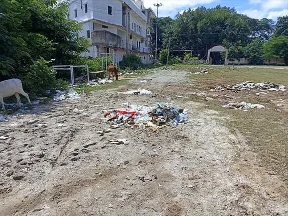 ଫିଙ୍ଗାଯାଇଥିବା ଭାତ ଖାଇ ୧୦ରୁ ଅଧିକ ଗୋରୁ ମୃତ