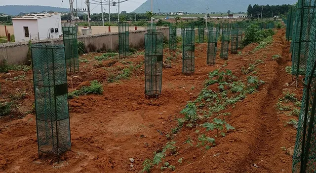 ଚୋରଙ୍କ ଟାର୍ଗେଟ୍‌ରେ ଲୁହା ବାଡ଼