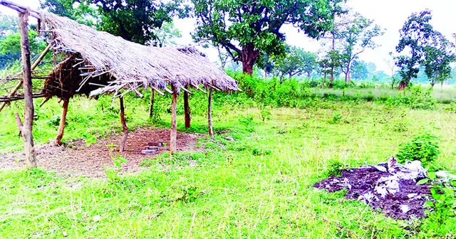 କାଜୁ ଚାରାରୋପଣ ନାଁରେ ଲକ୍ଷାଧିକ ଟଙ୍କା ଚଳୁ! ବଗିଚାର ଚିହ୍ନବର୍ଣ୍ଣ ନଥାଇ ଉଠିଛି ଟଙ୍କା