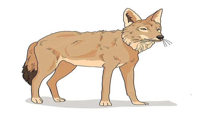 ସ୍ବାଭିମାନୀ ଗଧିଆ