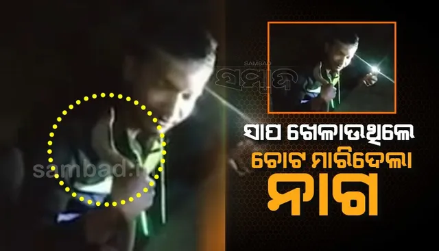 ସାପକୁ ଧରି ଖେଳ ଖେଳିବା ମହଙ୍ଗା ପଡିଲା, ନାଗ କାମୁଡାରେ ଯୁବକର ମୃତ୍ୟୁ