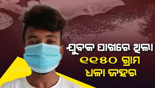 ପାଖରେ ଥିଲା କିଲେରୁ ଅଧିକ ବ୍ରାଉନ୍‌ସୁଗାର,ବିକିଥିଲେ ମିଳିଥାନ୍ତା କୋଟିଏ ଟଙ୍କା; ମାଡ଼ିବସିଲା ଏସ୍‌ଟିଏଫ୍‌