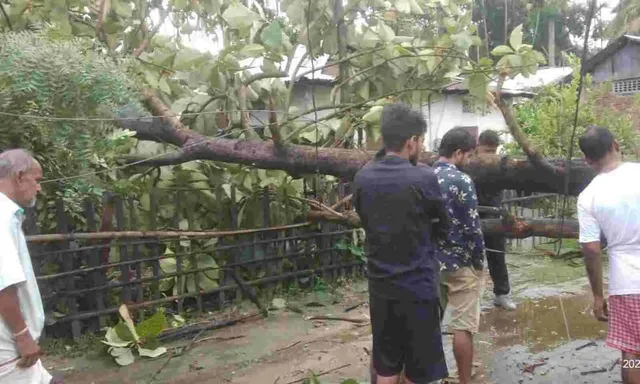 ବାତ୍ୟା ସିତରାଙ୍ଗ ପ୍ରଭାବରେ  ଆସାମରେ ବ୍ୟାପକ କ୍ଷୟକ୍ଷତି