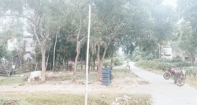 ବିପଦକୁ ଖୋଲା ଆମନ୍ତ୍ରଣ: ବାଉଁଶ ଖୁଣ୍ଟରେ ବିଦ୍ୟୁତ୍‌ ସରବରାହ!