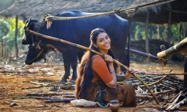 'କନ୍ତାରା'ରେ ସମସ୍ତଙ୍କ ମନମୋହିଲେ ଅଭିନେତ୍ରୀ ସପ୍ତମୀ; ଜାଣନ୍ତୁ, ତାଙ୍କ ବିଷୟରେ କିଛି ରୋଚକ କଥା