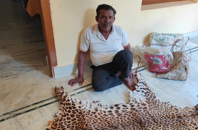 ବାଘଛାଲ କାରବାର ଥମିବା ନାଁ ନେଉନି: ନୟାଗଡ଼ ବନଖଣ୍ଡରୁ ପୁଣି ବାଘ ଶିକାରୀ ଗିରଫ