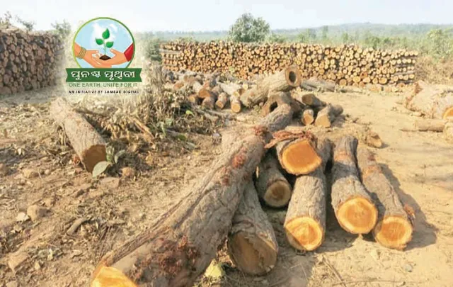 ଖଣି ପାଇଁ ବିପଦରେ ସବୁଜିମା, ୨୬୧.୩ କିମି ମୂଲ୍ୟବାନ ଜଙ୍ଗଲ ସଫା