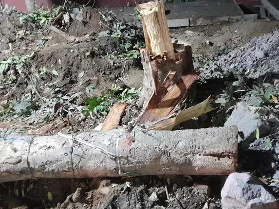 ରାସ୍ତା ସୌନ୍ଦର୍ଯ୍ୟକରଣ ନାଁରେ ଅବାଧ ଗଛ କଟା