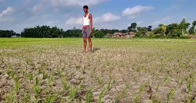 ଦୁର୍ଦ୍ଦଶାରେ ପଦ୍ମପୁର ଚାଷୀ, ନଦୀ ଥାଇ ବିଳକୁ ମାଡ଼ୁନି ପାଣି