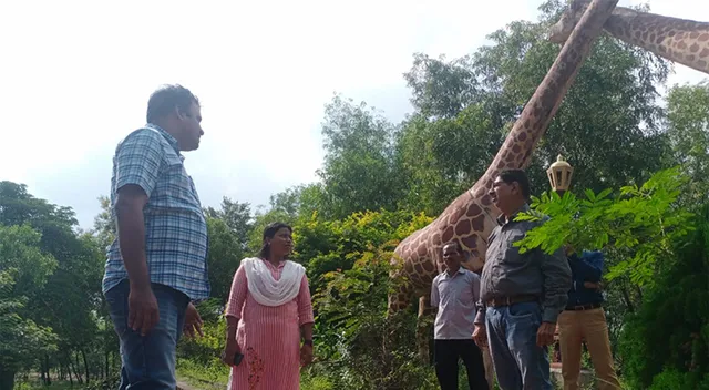 ଖୋଲିଲା ବ୍ରଜରାଜନଗରର ଇକୋ ପାର୍କ