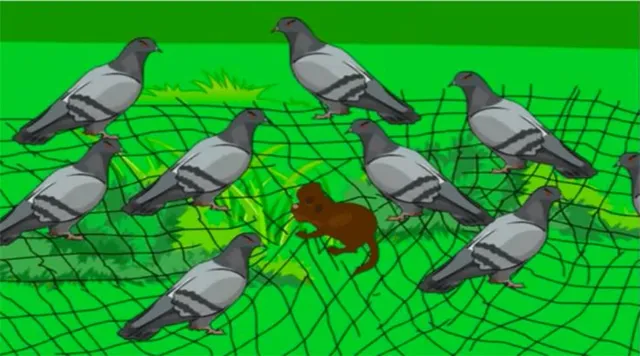 ପକ୍ଷୀ ଶିକାର