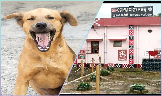 ଘୁ.ଉଦୟଗିରିରେ ପାଗଳ କୁକୁର ଆତଙ୍କ,  ସ୍ଥାନୀୟ ସ୍ୱାସ୍ଥ୍ୟକେନ୍ଦ୍ରରେ ମିଳୁନି ଇଞ୍ଜେକ୍ସନ