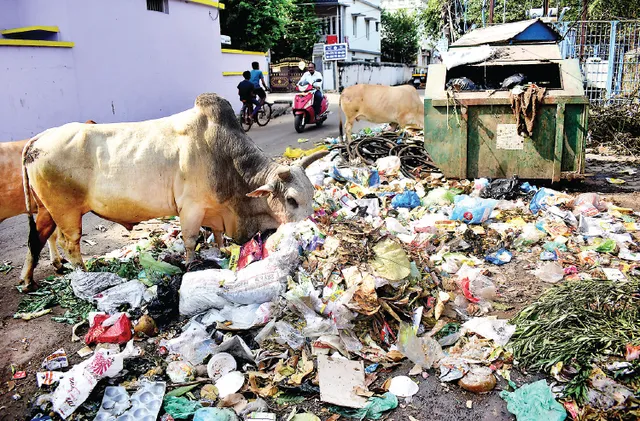 ‘ଡଷ୍ଟବିନ୍‌ମୁକ୍ତ’ ସହର ଯୋଜନା: ବିଏମ୍‌ସିକୁ ବୁମେରାଂ