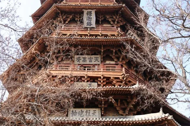 ୯୯ ମିଟର ଉଚ୍ଚ କାଠର ପ୍ରାସାଦ