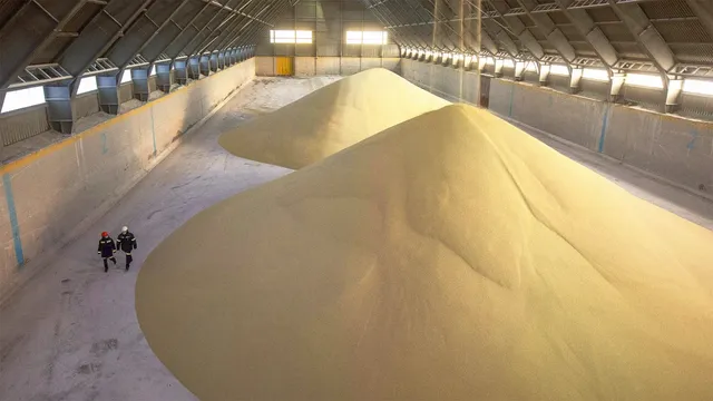 ରୁଷ୍‌ରୁ ଆସୁଛି ସର୍ବାଧିକ ସାର