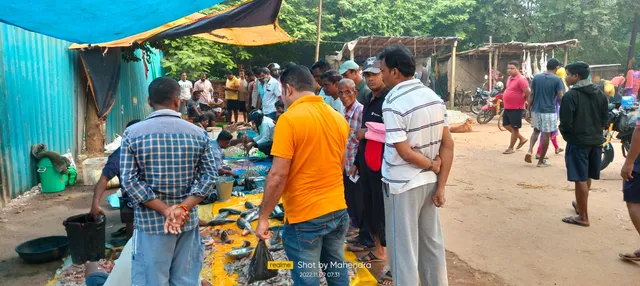 ଛାଡ଼ଖାଇ ବଜାର ଦର ଆକାଶ ଛୁଆଁ; ମଟନ୍‌ ୮୦୦, ଦେଶୀ ଗଞ୍ଜା ୪୫୦, ପାମ୍ପଲେଟ୍‌ ୧୦୦୦