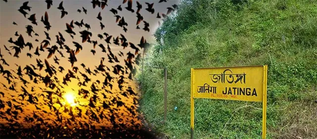 ଖୋଲା ଝରକା - ବାର୍ଡ ସୁଇସାଇଡ୍‌ ପଏଣ୍ଟ୍‌