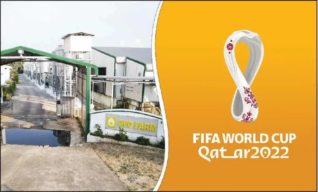 କାତାର ବିଶ୍ବକପ୍‌ରେ ଓଡ଼ିଶା ଅଣ୍ଡା