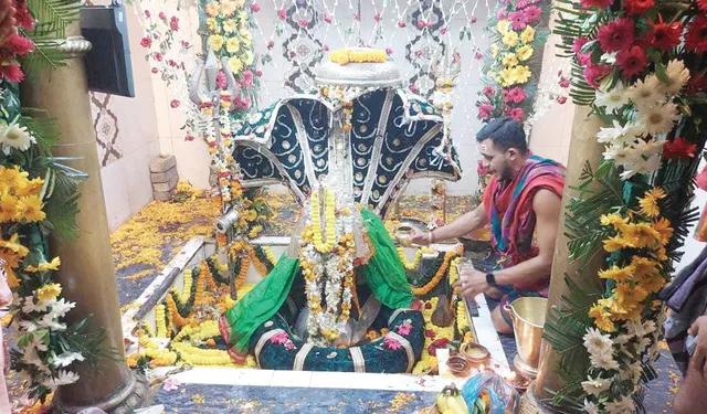 ବଡ଼ସିଂହାର ବେଶରେ ଦର୍ଶନ ଦେଲେ ଧବଳେଶ୍ବର