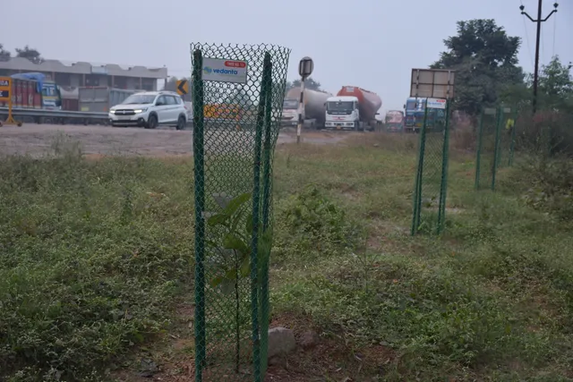 ବେଦାନ୍ତ ଆଲୁମିନିୟମ ପକ୍ଷରୁ ଝାରସୁଗୁଡ଼ାରେ ଧାଡ଼ି ବୃକ୍ଷ ରୋପଣ ଅଭିଯାନ